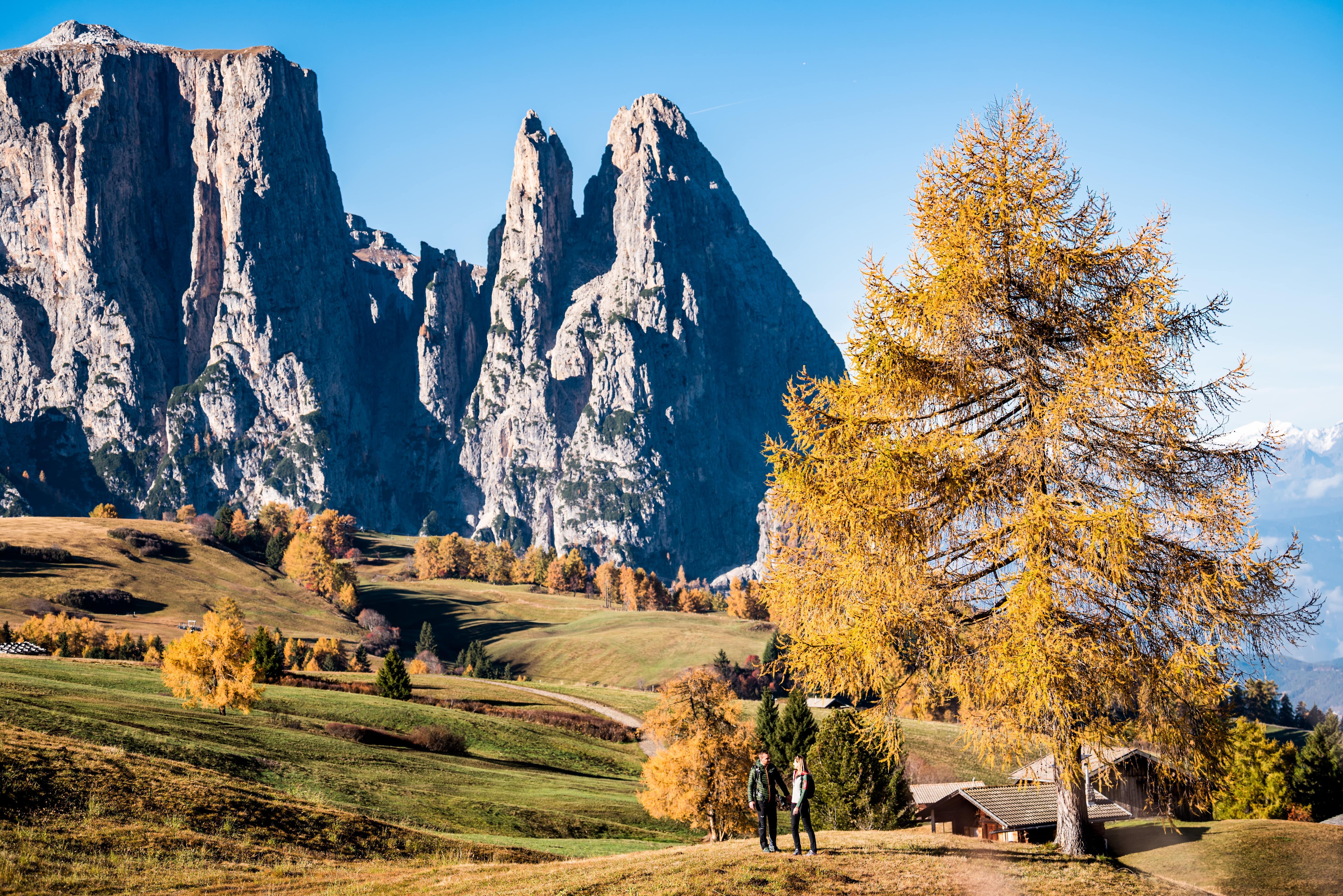 Hotel Steger-Dellai Alpe Di Siusi Exterior foto